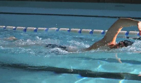 自由泳的专业训练动作