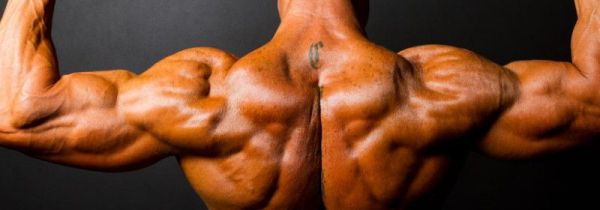 三角肌后束训练动作