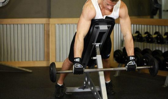 杠铃提拉练哪里