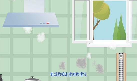 墙壁发霉怎么处理