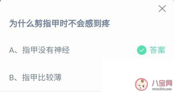 剪指甲为什么不会感到疼蚂蚁庄园 指甲没有神经还是比较薄