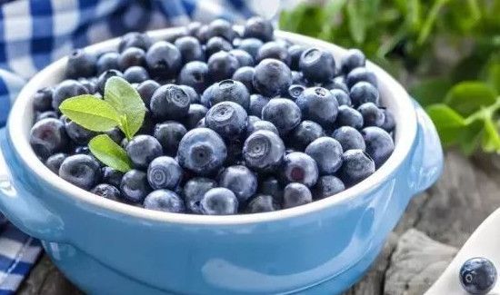 蓝莓可以洗干净后带皮吃吗