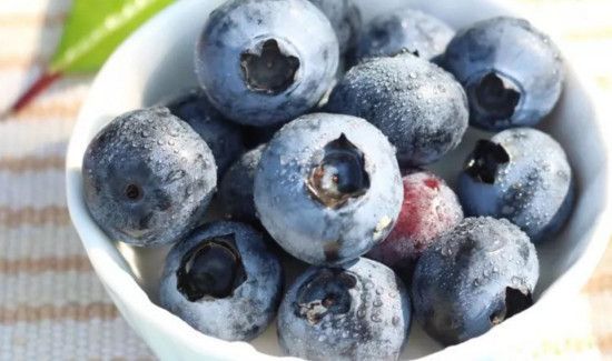 蓝莓可以冷冻保存多久
