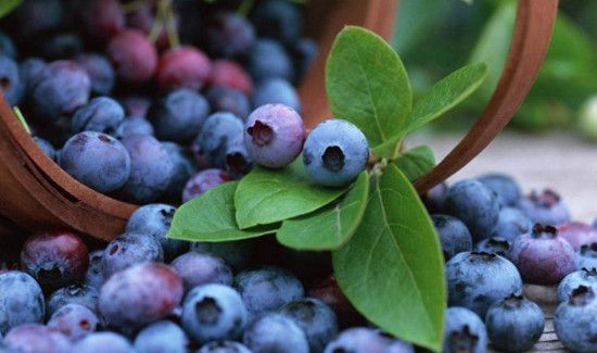 蓝莓可以用清水洗干净吗