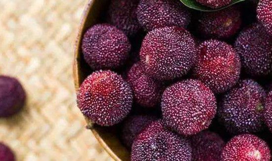 杨梅可以不洗吗