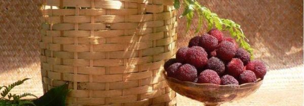 杨梅吃了有什么好处