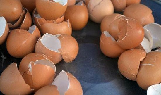 鸡蛋壳是干拉圾还是湿垃圾