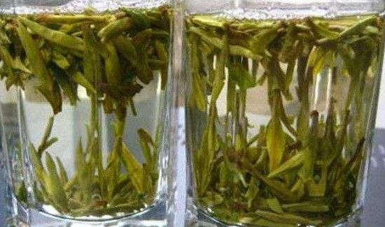 龙井茶为什么不下沉