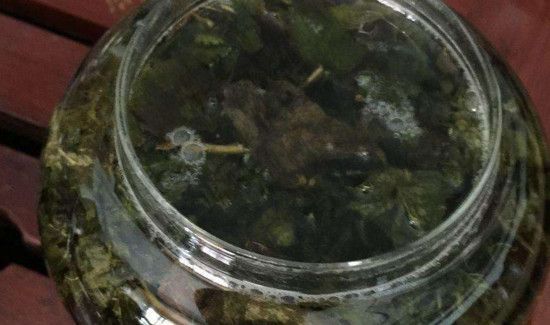 冲泡乌龙茶的三要素