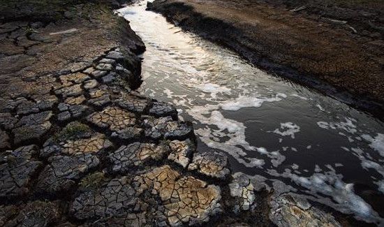 过期的药品属于什么垃圾