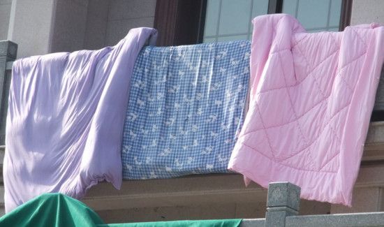 夏天被子上很多小虫子怎么办