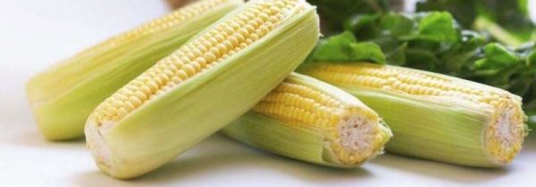 玉米属于什么垃圾