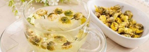 菊花茶为什么发白
