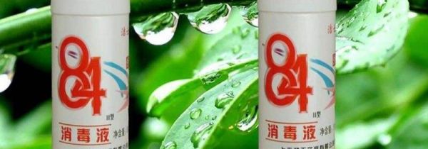 84消毒液能杀死真菌吗