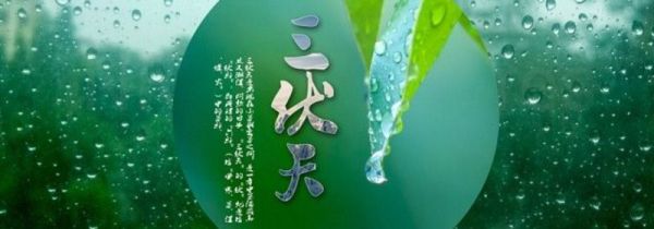 三伏三九具体时间