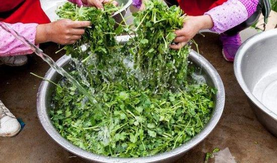 洗菜怎么才能洗掉农药