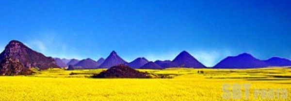 云南有什么特产纪念品