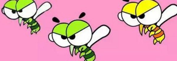 夏天蚊子多怎么办