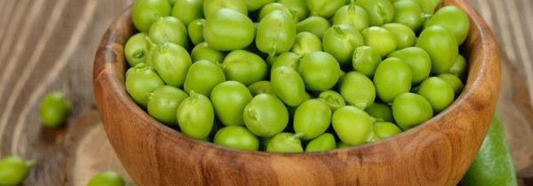 青豌豆发芽了还能吃吗