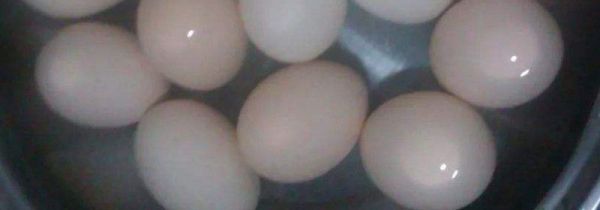 冷水煮鸡蛋需要多长时间