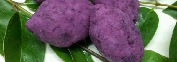 紫红薯发芽了还能吃吗