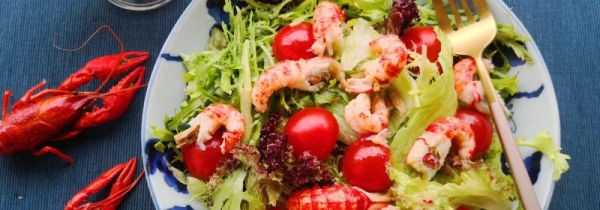 菜渍用什么可洗掉