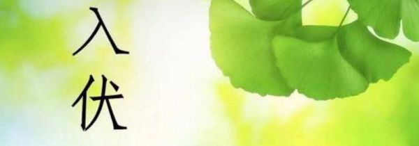 哪一天入伏初伏是那天