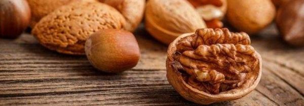 坚果壳属于什么垃圾