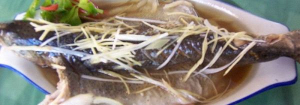 雪鱼不能和什么一起吃