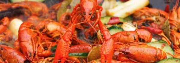 鸽子和虾能一起吃吗