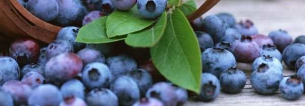 黄瓜和蓝莓可以一起吃吗