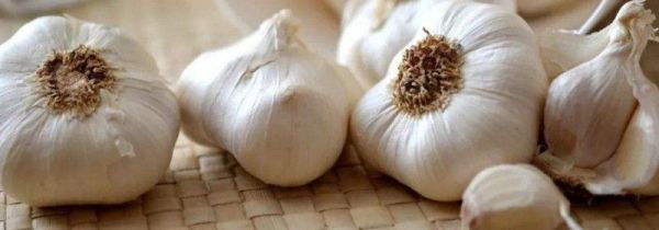 大蒜不能和木耳一起吃吗