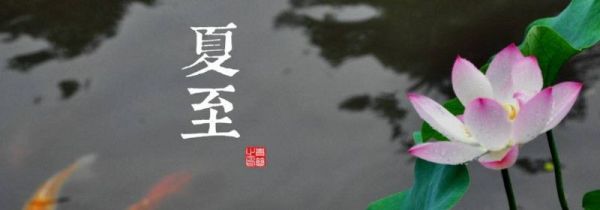 夏至要注意什么