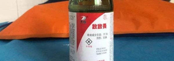 室内杀死跳虫的好办法