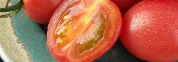 西红柿樱桃能一起吃吗