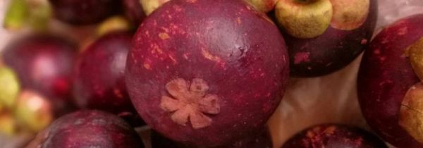 荔枝可以和山竹一起吃吗