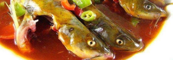 黄骨鱼不能和什么一起吃