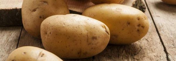 吃变质的食物会怎样