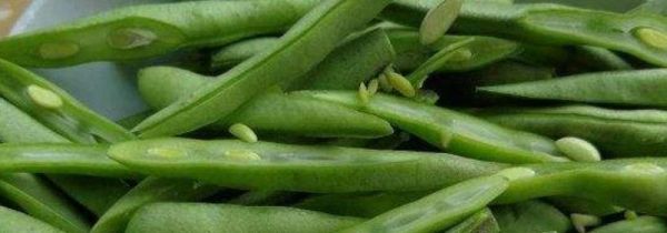 豆角上有锈斑还能吃吗