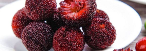 杨梅和鸭子能一起吃吗