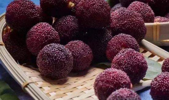 杨梅和鸭子能一起吃吗