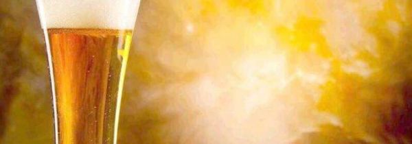 荷花啤酒多钱一箱