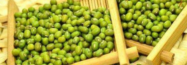 绿豆和狗肉可以一起吃吗