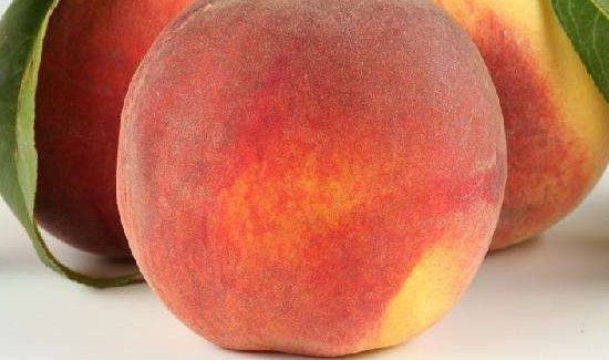 桃和啤酒能一起吃吗