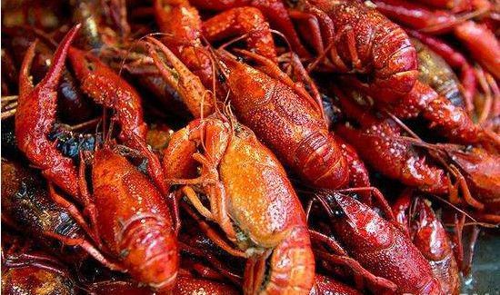 虾子和西瓜可以一起吃吗