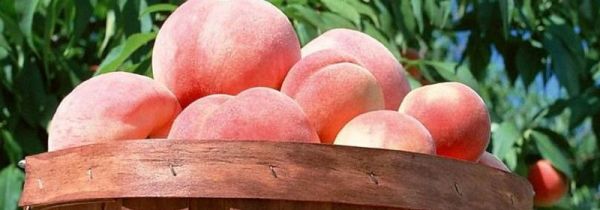 桃和瓜能一起吃吗