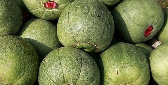 桃和瓜能一起吃吗