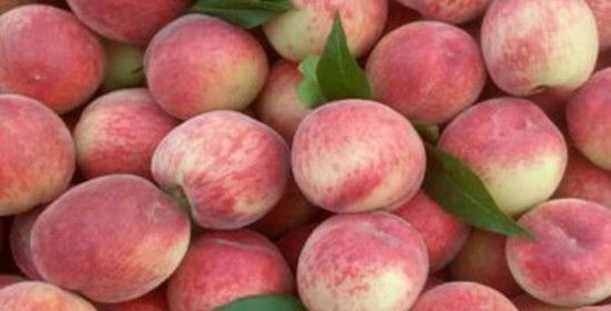 桃和瓜能一起吃吗