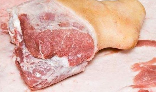 猪瘟会不会传染给人类