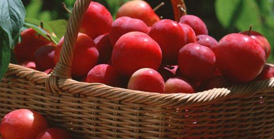 桃子不能和什么一起吃吗